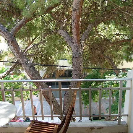 Hotel Camelia *